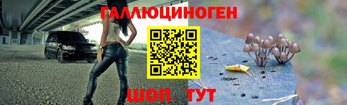 Псилоцибиновые грибы Magic Shrooms  Псилоцибиновые грибы MAGIC MUSHROOMS  Кумертау  Вход с VPN 